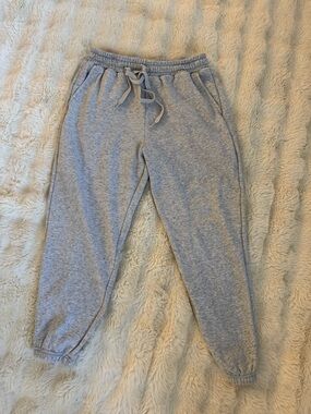 Fabletics Joggers Sweat pants Women Sz Large (fits like a medium IMO)